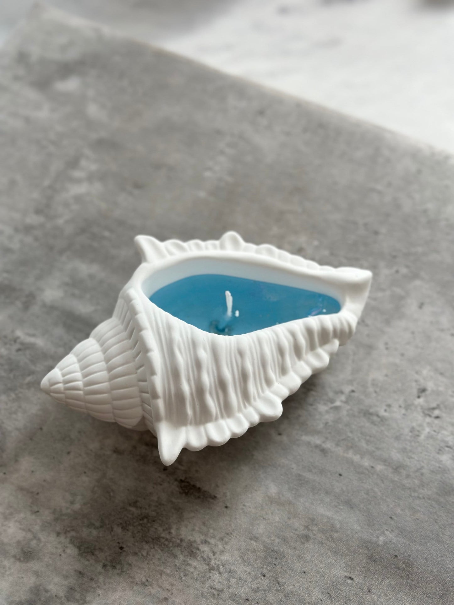 Large Seashell Vessel Gel Candle