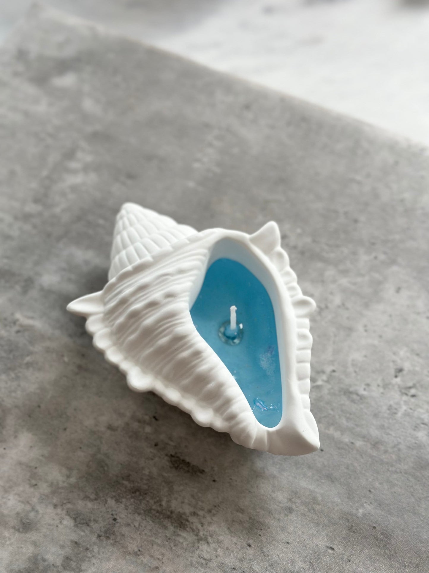 Large Seashell Vessel Gel Candle