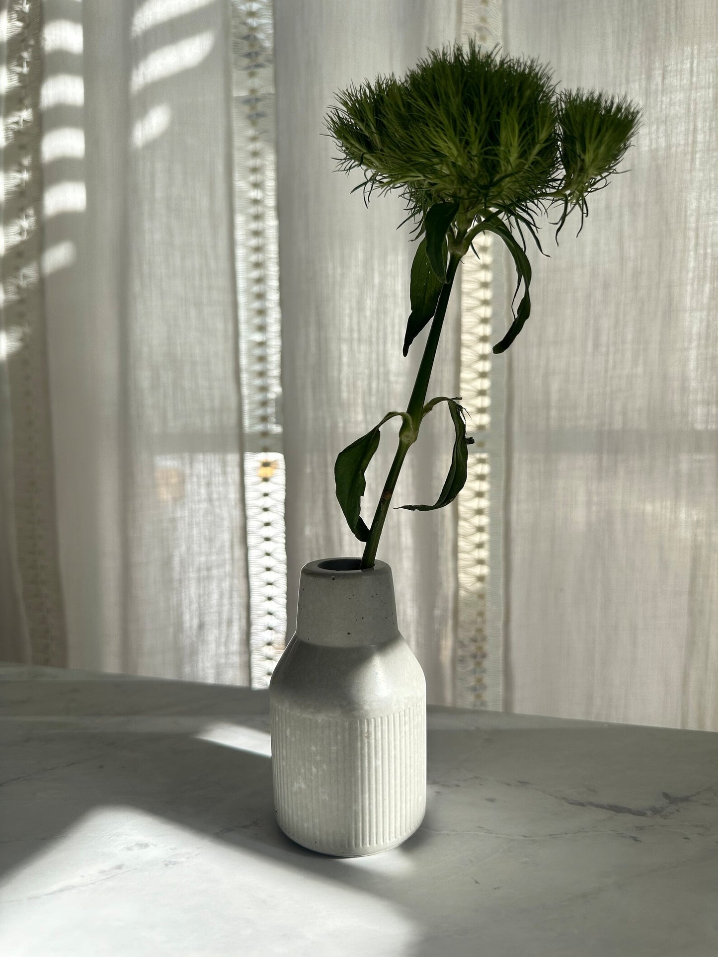 Minimalist Concrete Vase, 3 types