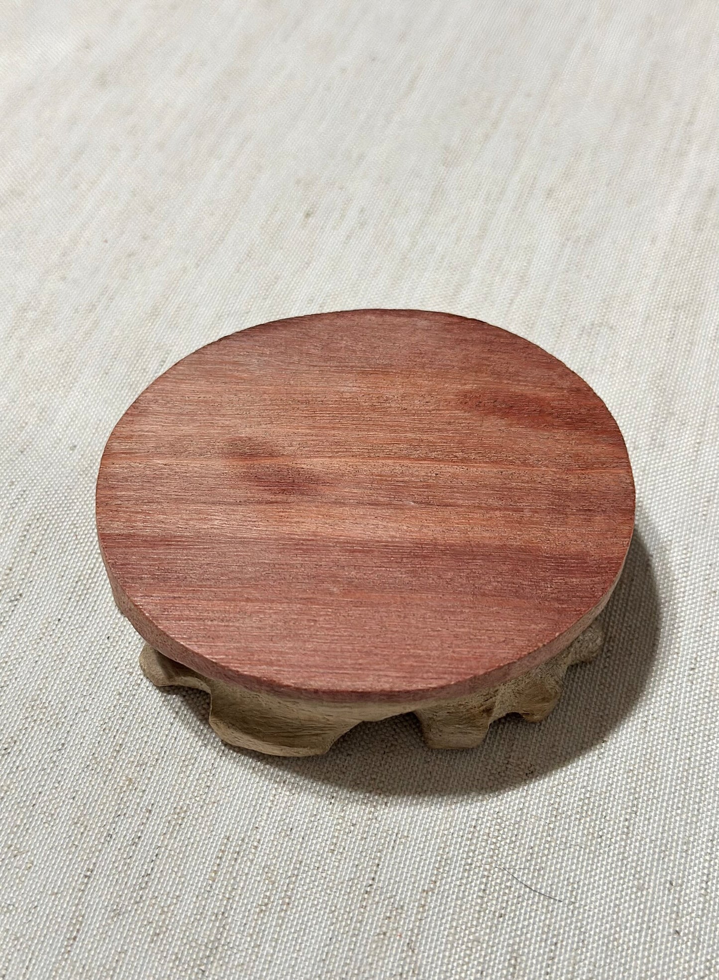 Mini Shell Jewelry Display Dish with Wooden Plate