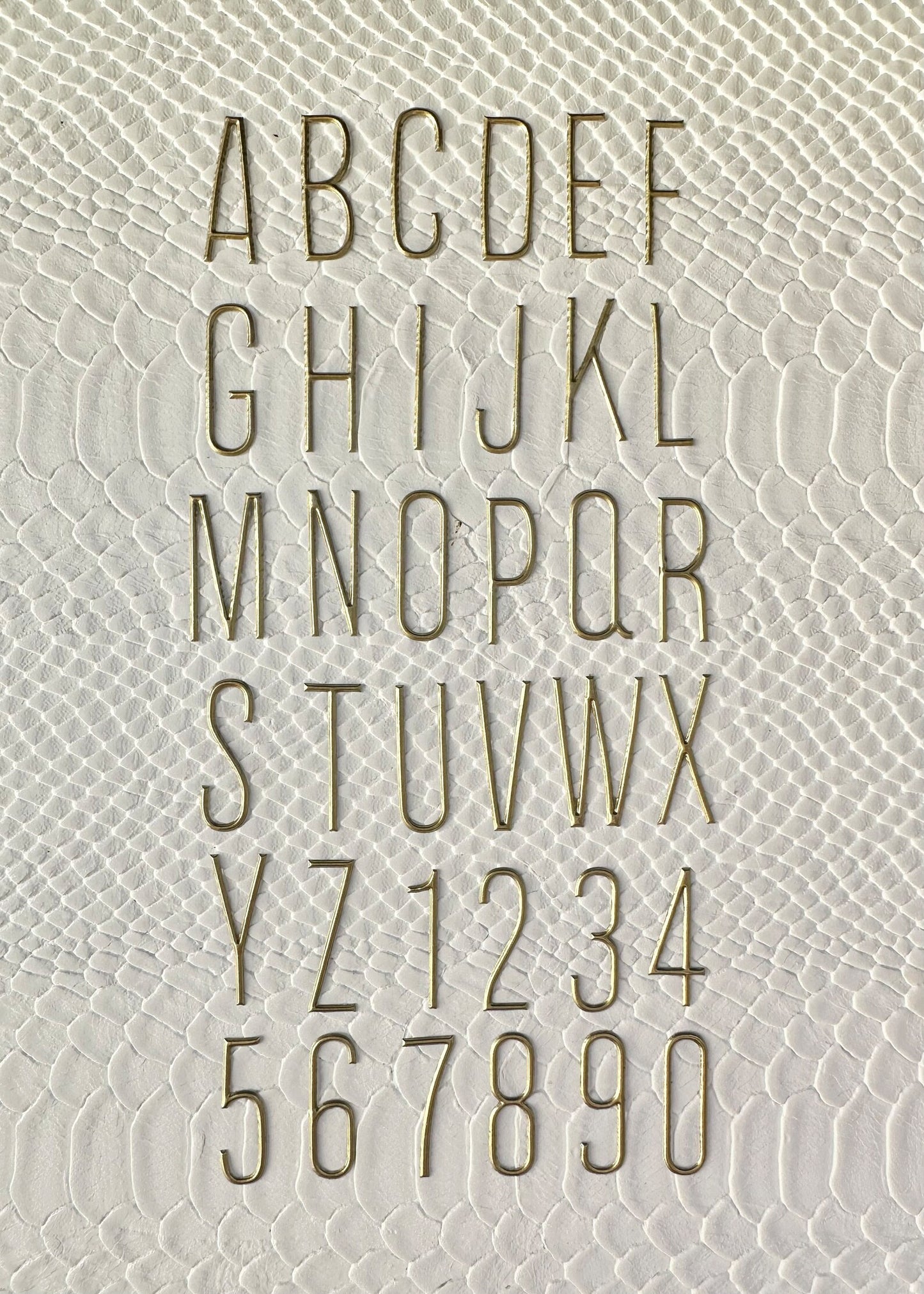 Initial Family Custom Coaster Set