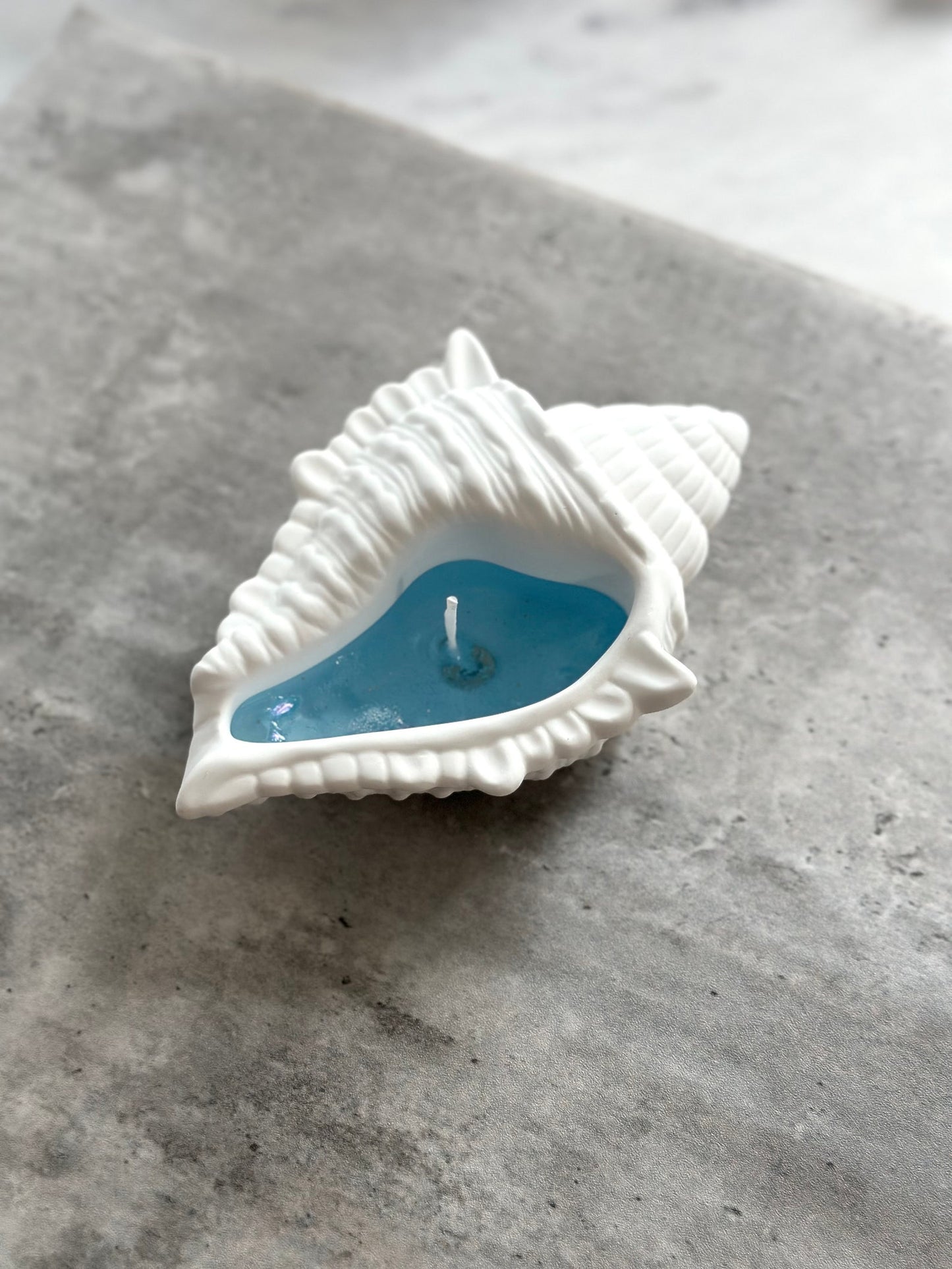 Large Seashell Vessel Gel Candle