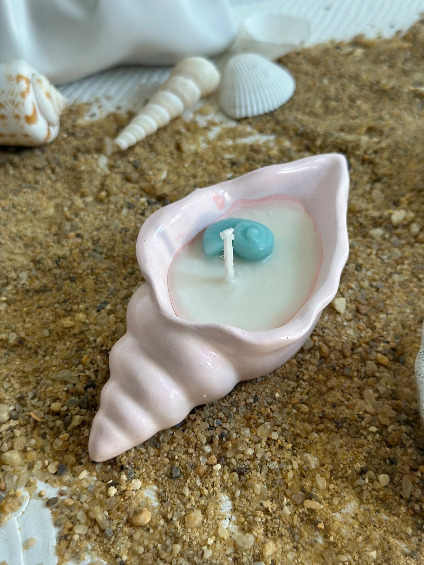 Conch Seashell Soy Candle