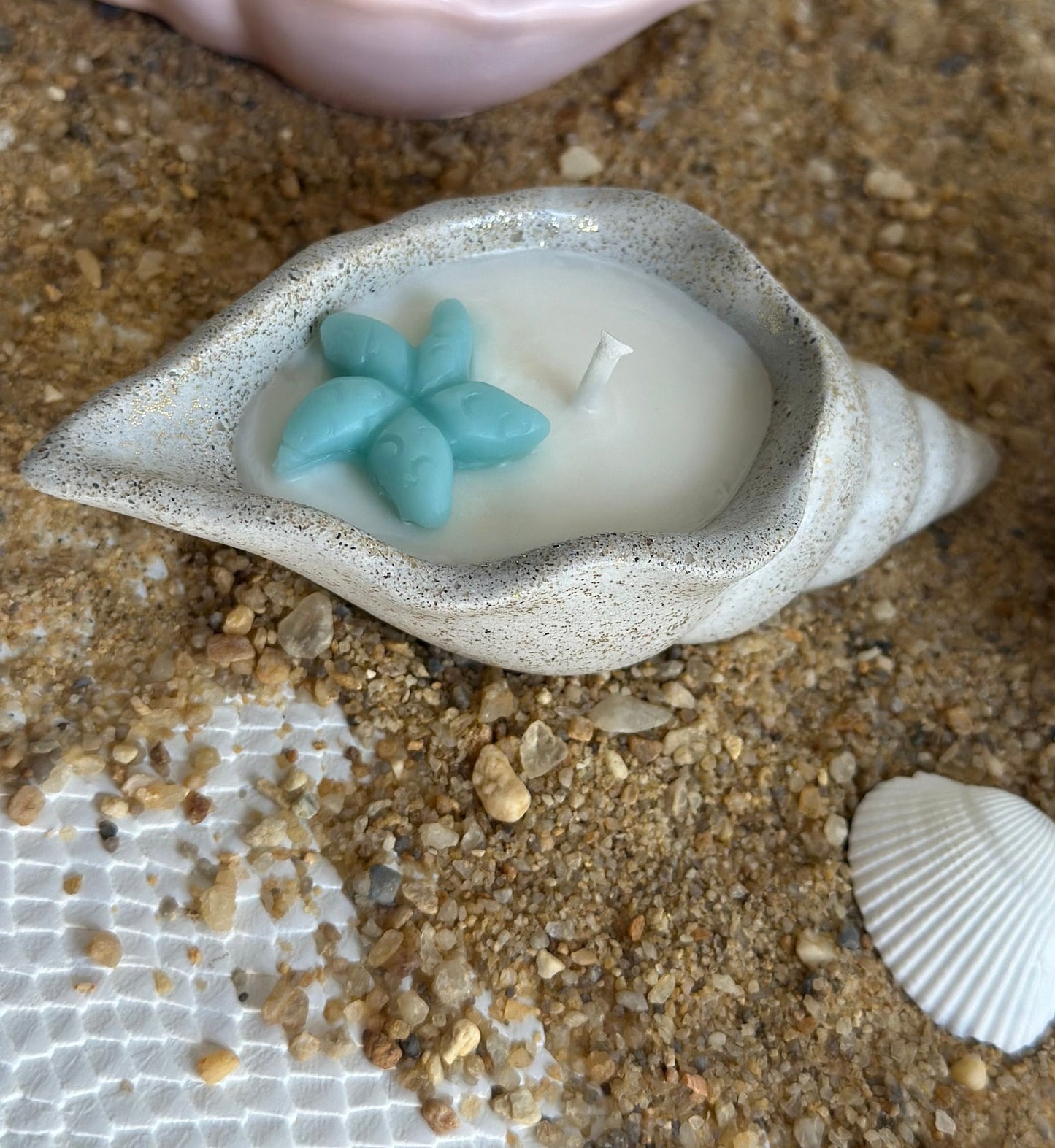 Conch Seashell Soy Candle