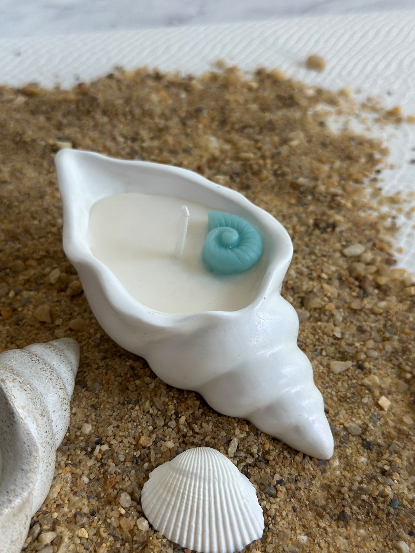 Conch Seashell Soy Candle