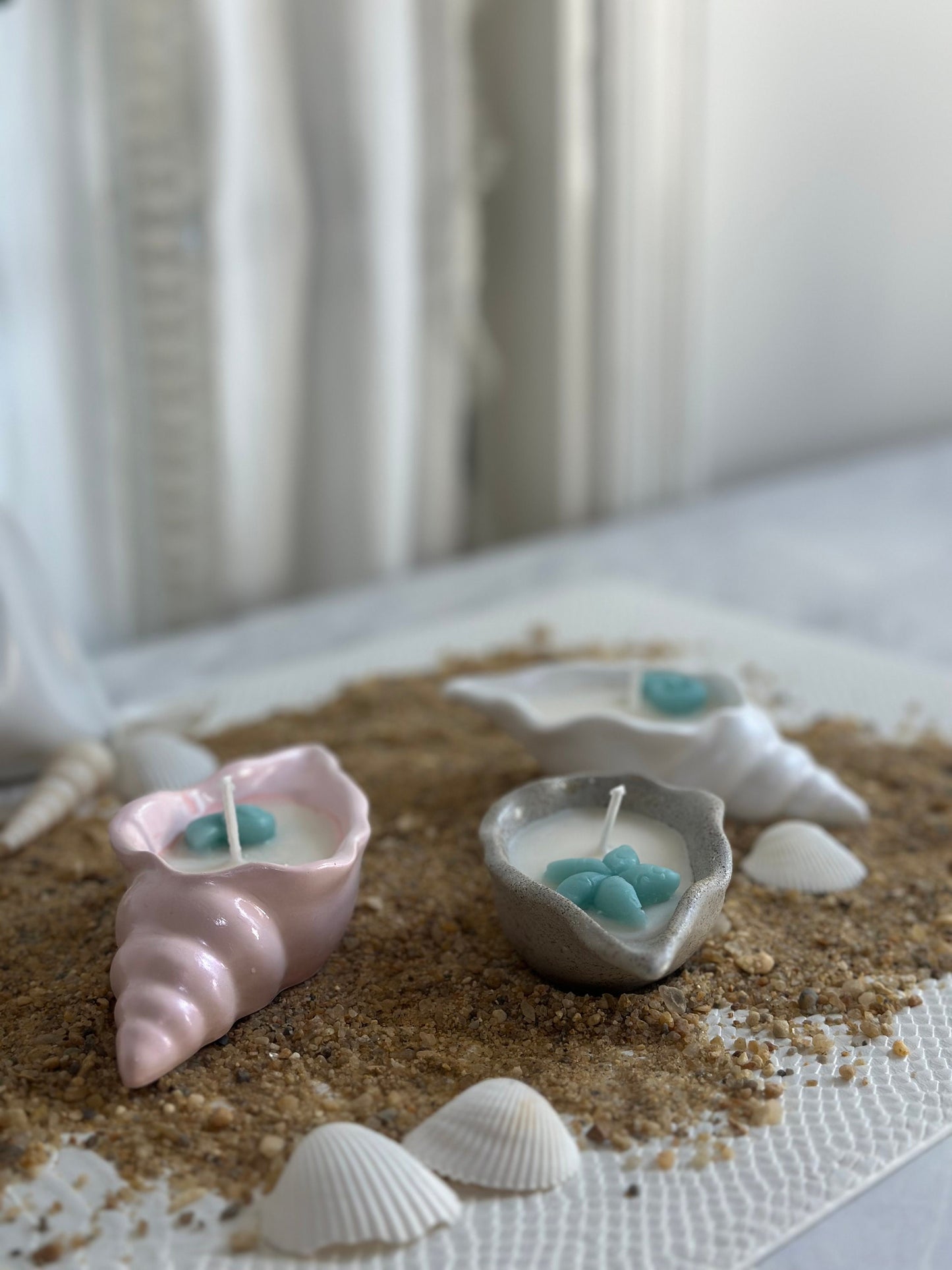 Conch Seashell Soy Candle