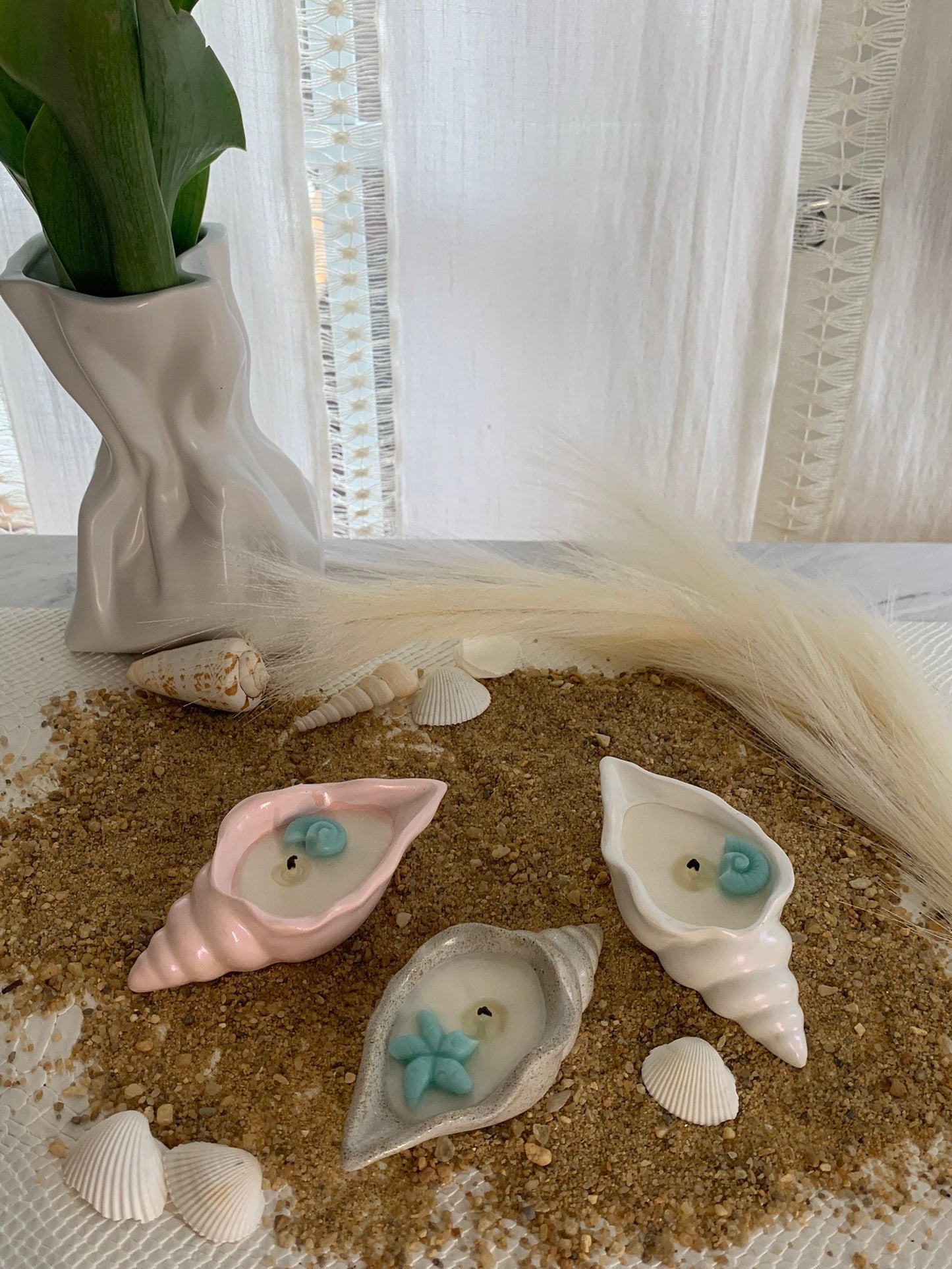 Conch Seashell Soy Candle