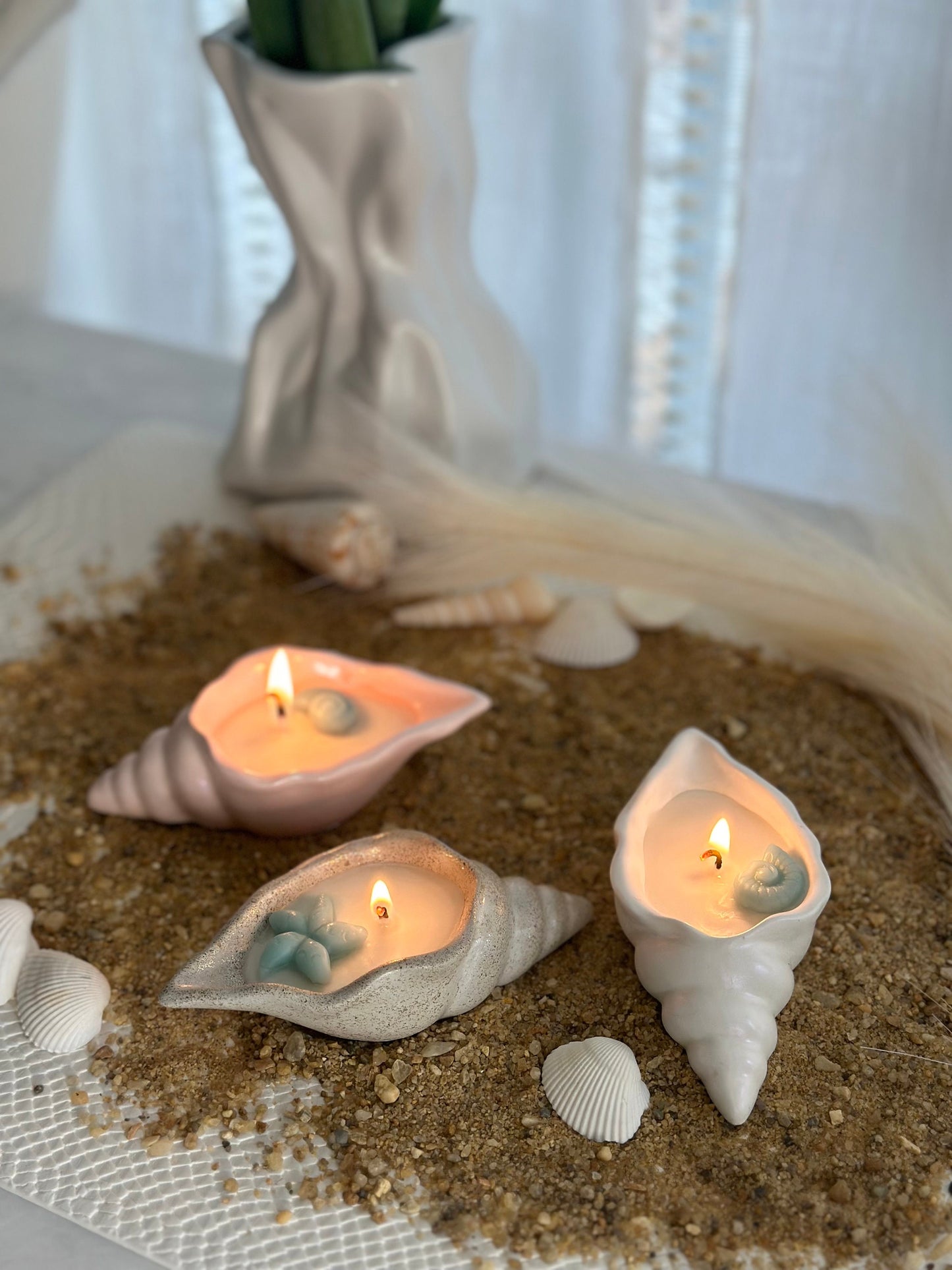 Conch Seashell Soy Candle