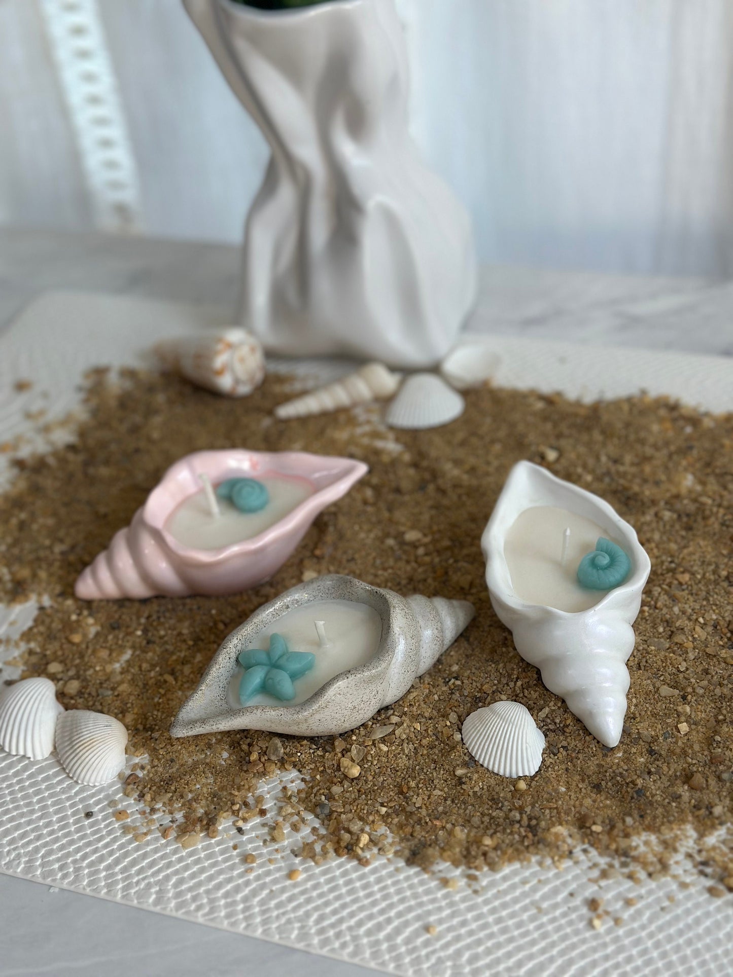 Conch Seashell Soy Candle