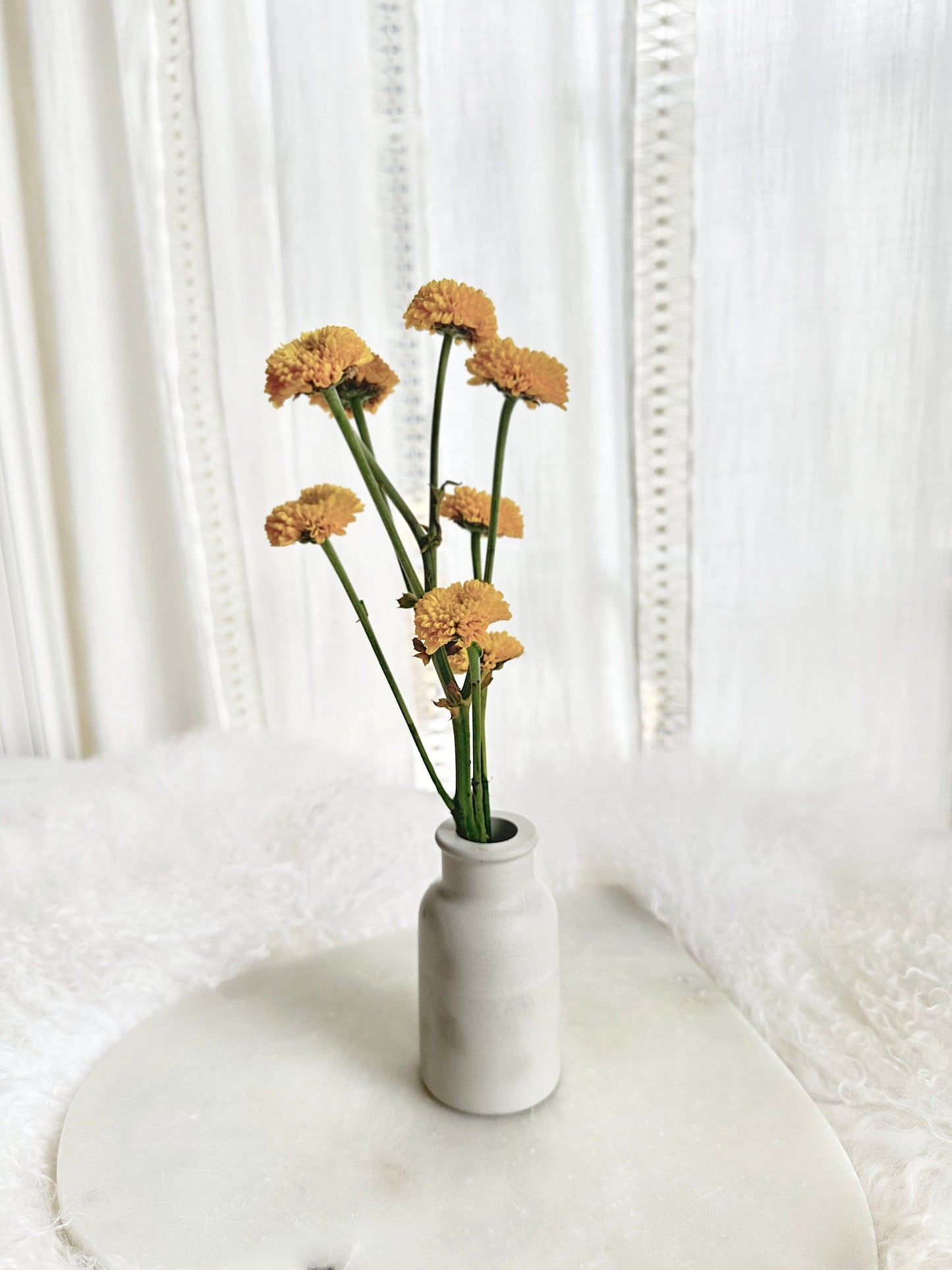 Minimalist Concrete Vase, 3 types