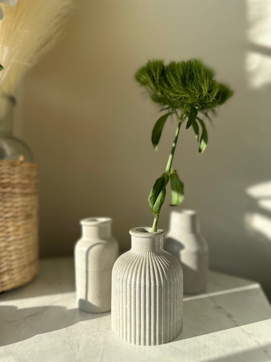 Minimalist Concrete Vase, 3 types