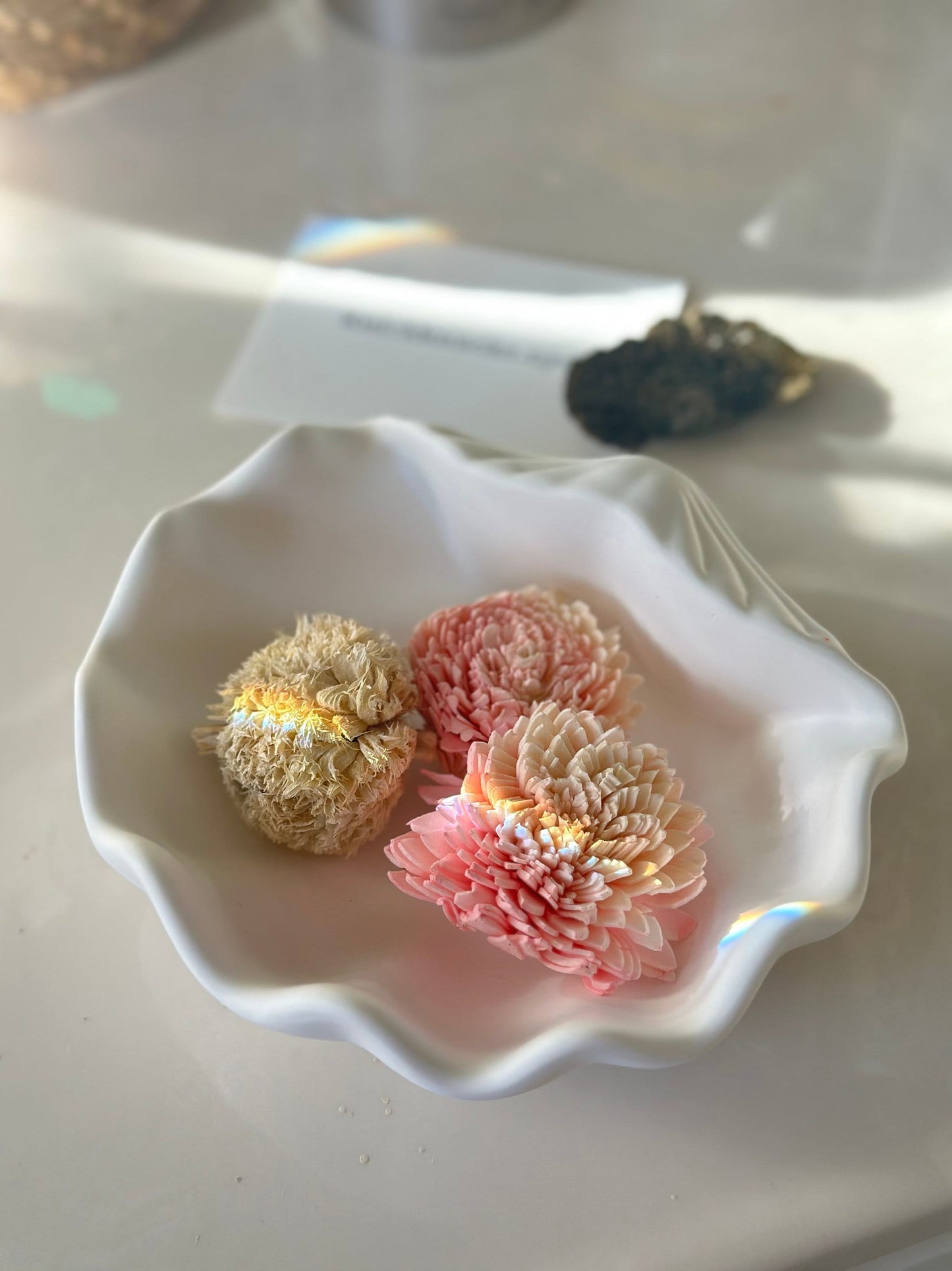 Large Shell Storage Tray