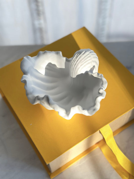 Shell Plaster Bowl