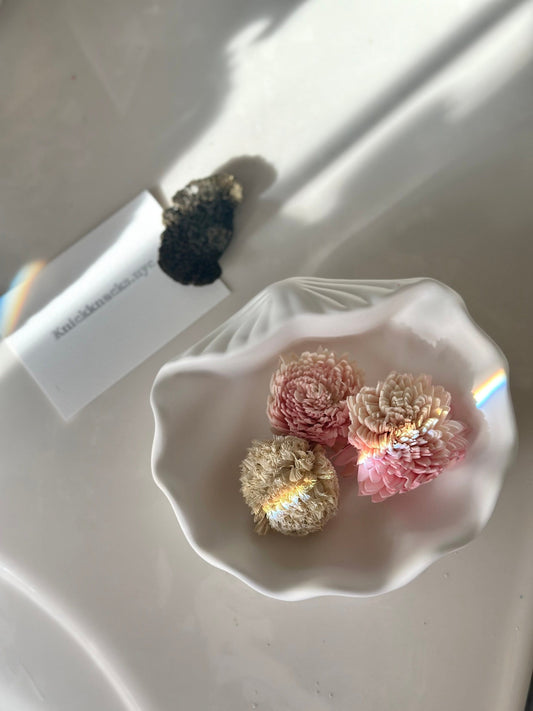 Large Shell Storage Tray