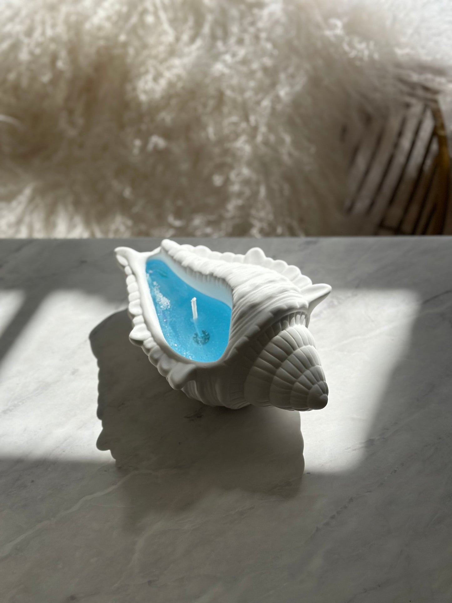 Large Seashell Vessel Gel Candle