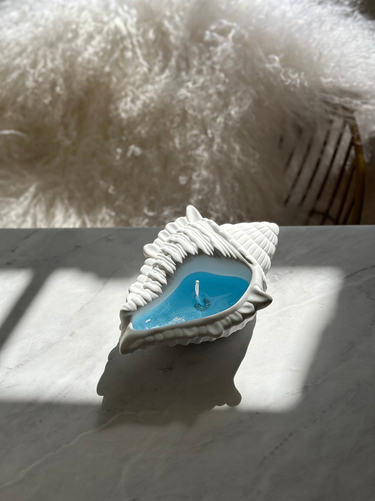 Large Seashell Vessel Gel Candle