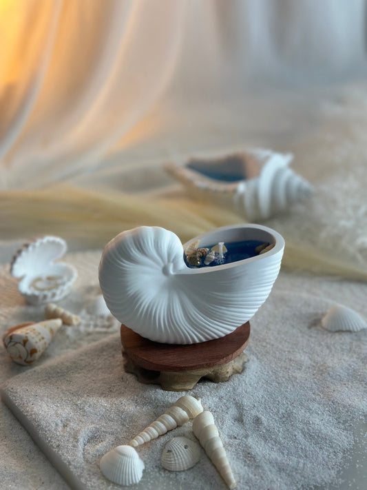 Conch Shell Gel Candle